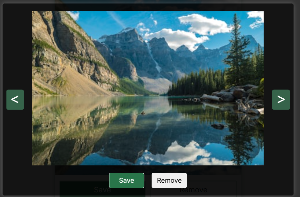 Home page modal